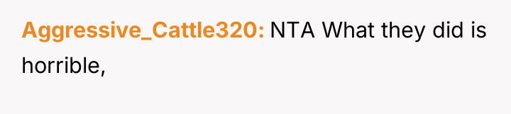 Aggressive_Cattle320 NTA What they did is horrible,