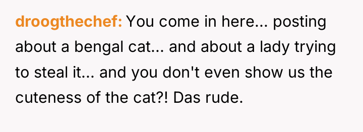 droogthechef You come in here... posting about a bengal cat......