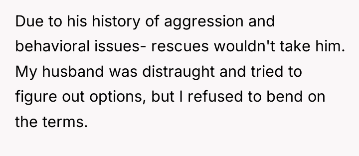 Due to his history of aggression and behavioral issues- rescues...
