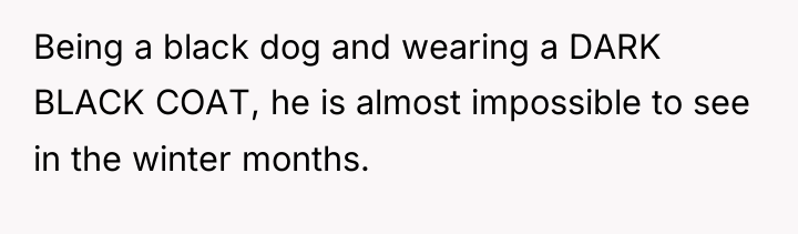 Being a black dog and wearing a DARK BLACK COAT,...