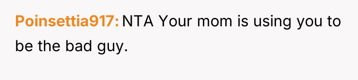 Poinsettia917 NTA Your mom is using you to be the...