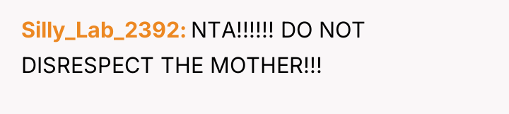 Silly_Lab_2392 NTA!!!!!! DO NOT DISRESPECT THE MOTHER!!!