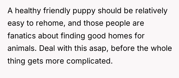 A healthy friendly puppy should be relatively easy to rehome,...