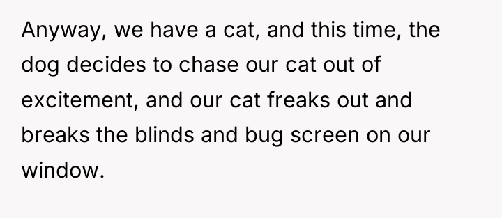 Anyway, we have a cat, and this time, the dog...