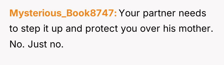 Mysterious_Book8747 Your partner needs to step it up and protect...