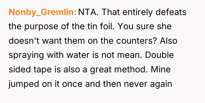 Nonby_Gremlin NTA. That entirely defeats the purpose of the tin...