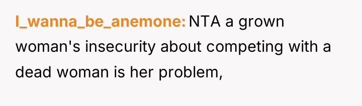 I_wanna_be_anemone NTA a grown woman's insecurity about competing with a...