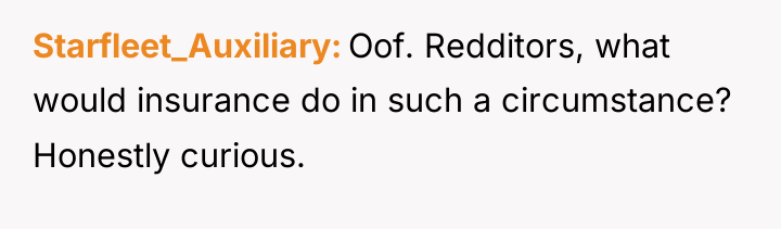 Starfleet_Auxiliary Oof. Redditors, what would insurance do in such a...