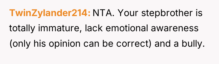 TwinZylander214 NTA. Your stepbrother is totally immature, lack emotional awareness...