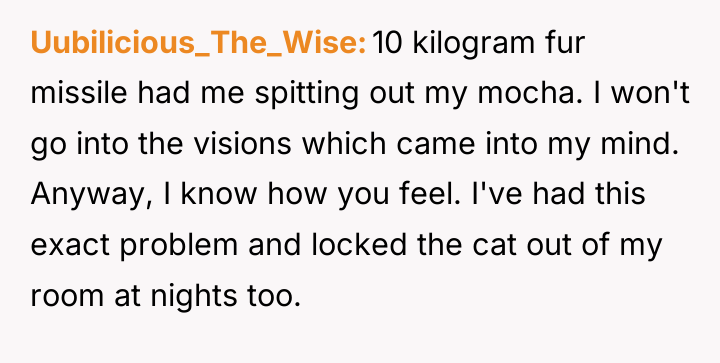 Uubilicious_The_Wise 10 kilogram fur missile had me spitting out my...