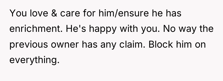 You love & care for him/ensure he has enrichment. He's...