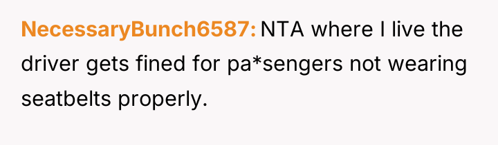 NecessaryBunch6587 NTA where I live the driver gets fined for...