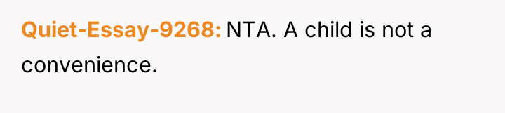Quiet-Essay-9268 NTA. A child is not a convenience.
