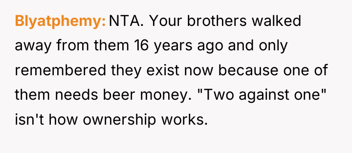Blyatphemy NTA. Your brothers walked away from them 16 years...