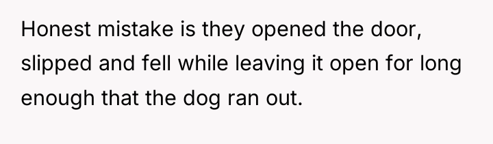 Honest mistake is they opened the door, slipped and fell...
