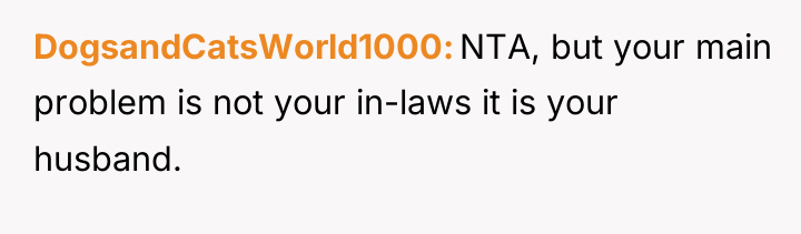 DogsandCatsWorld1000 NTA, but your main problem is not your in-laws...