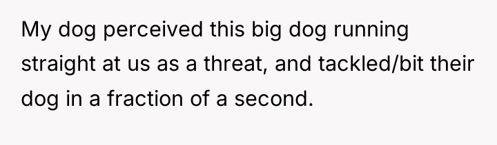 My dog perceived this big dog running straight at us...