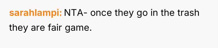 sarahlampi NTA- once they go in the trash they are...