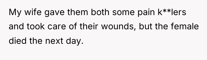 My wife gave them both some pain k**lers and took...