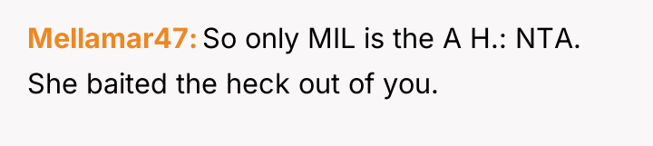 Mellamar47 So only MIL is the A H.: NTA. She...