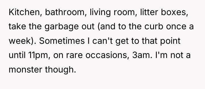 Kitchen, bathroom, living room, litter boxes, take the garbage out...