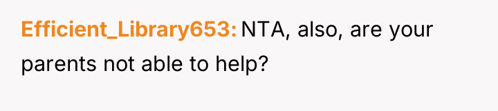 Efficient_Library653 NTA, also, are your parents not able to help?