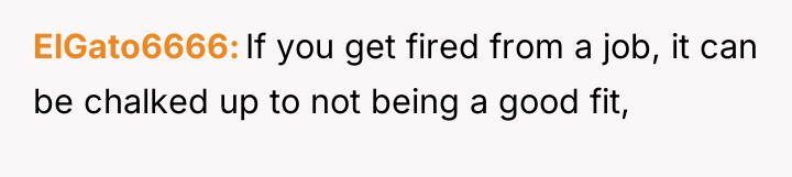 ElGato6666 If you get fired from a job, it can...