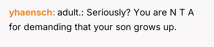 yhaensch adult.: Seriously? You are N T A for demanding...