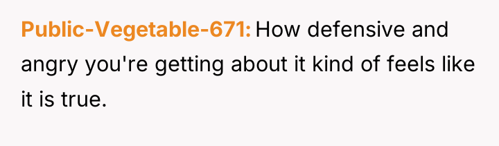 Public-Vegetable-671 How defensive and angry you're getting about it kind...