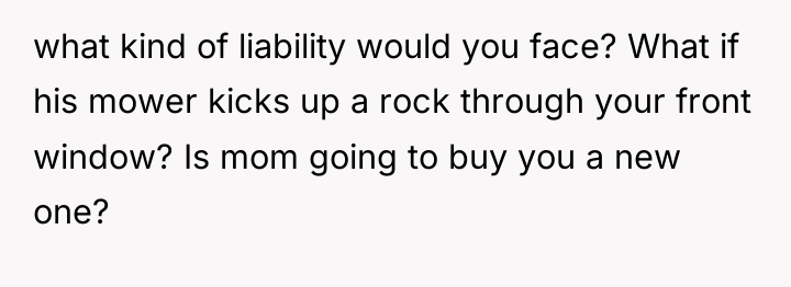 what kind of liability would you face? What if his...