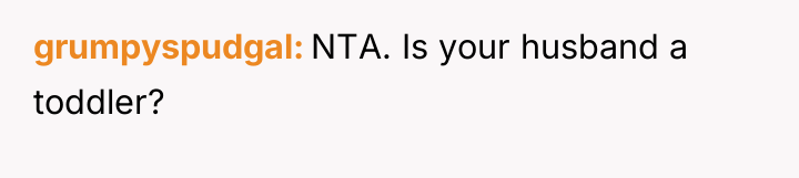 grumpyspudgal NTA. Is your husband a toddler?