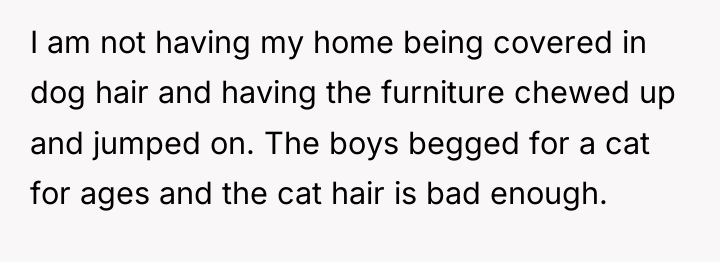 I am not having my home being covered in dog...
