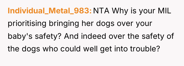 Individual_Metal_983 NTA Why is your MIL prioritising bringing her dogs...
