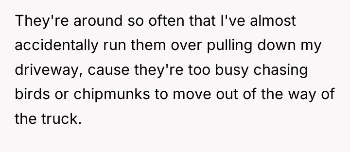 They're around so often that I've almost accidentally run them...