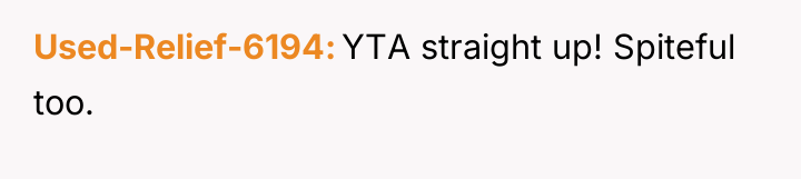 Used-Relief-6194 YTA straight up! Spiteful too.