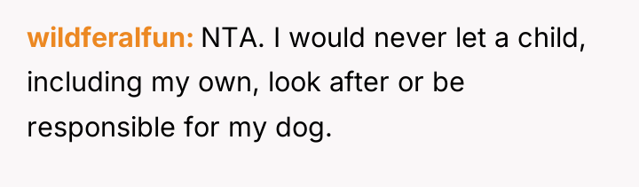 wildferalfun NTA. I would never let a child, including my...