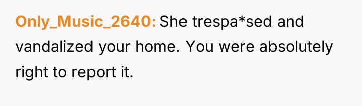 Only_Music_2640 She trespa*sed and vandalized your home. You were absolutely...