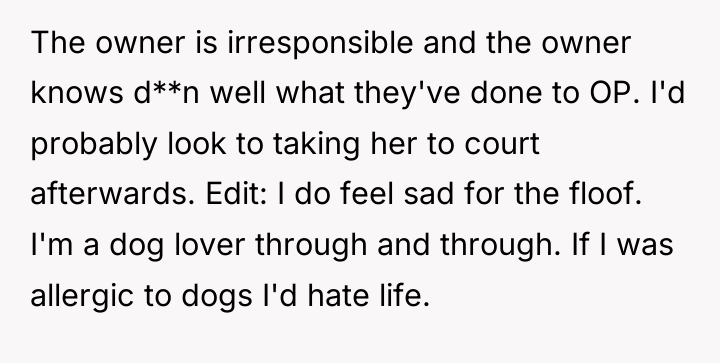 The owner is irresponsible and the owner knows d**n well...