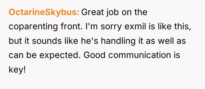 OctarineSkybus Great job on the coparenting front. I'm sorry exmil...