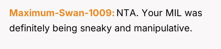 Maximum-Swan-1009 NTA. Your MIL was definitely being sneaky and manipulative.