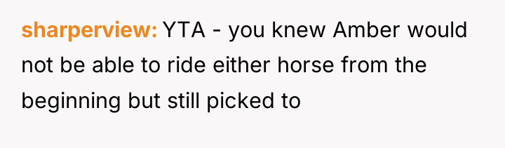 sharperview YTA - you knew Amber would not be able...
