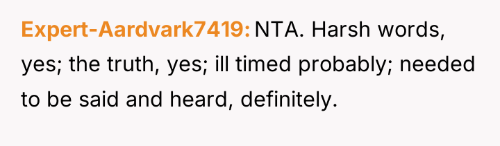 Expert-Aardvark7419 NTA. Harsh words, yes; the truth, yes; ill timed...