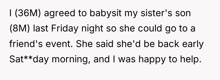 I (36M) agreed to babysit my sister's son (8M) last...