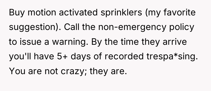Buy motion activated sprinklers (my favorite suggestion). Call the non-emergency...