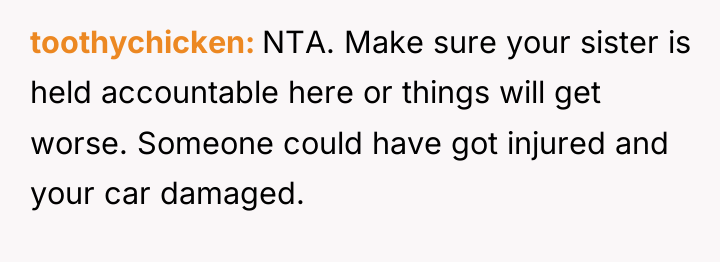 toothychicken NTA. Make sure your sister is held accountable here...