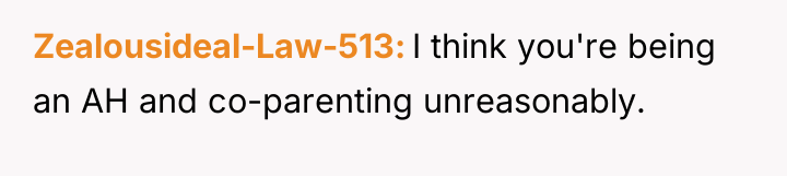 Zealousideal-Law-513 I think you're being an AH and co-parenting unreasonably.