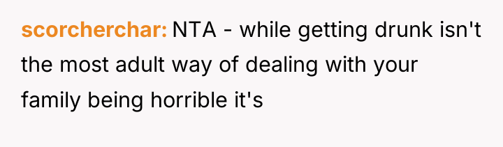 scorcherchar NTA - while getting drunk isn't the most adult...