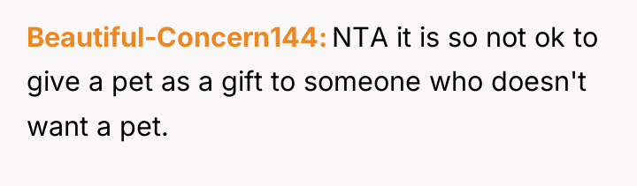 Beautiful-Concern144 NTA it is so not ok to give a...