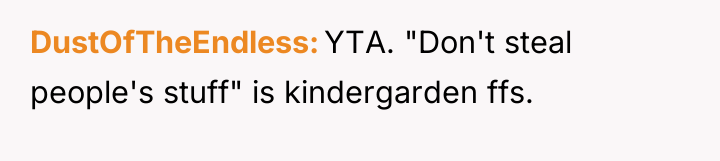 DustOfTheEndless YTA. "Don't steal people's stuff" is kindergarden ffs.
