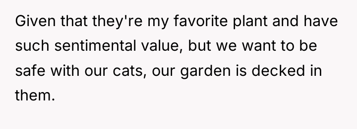 Given that they're my favorite plant and have such sentimental...